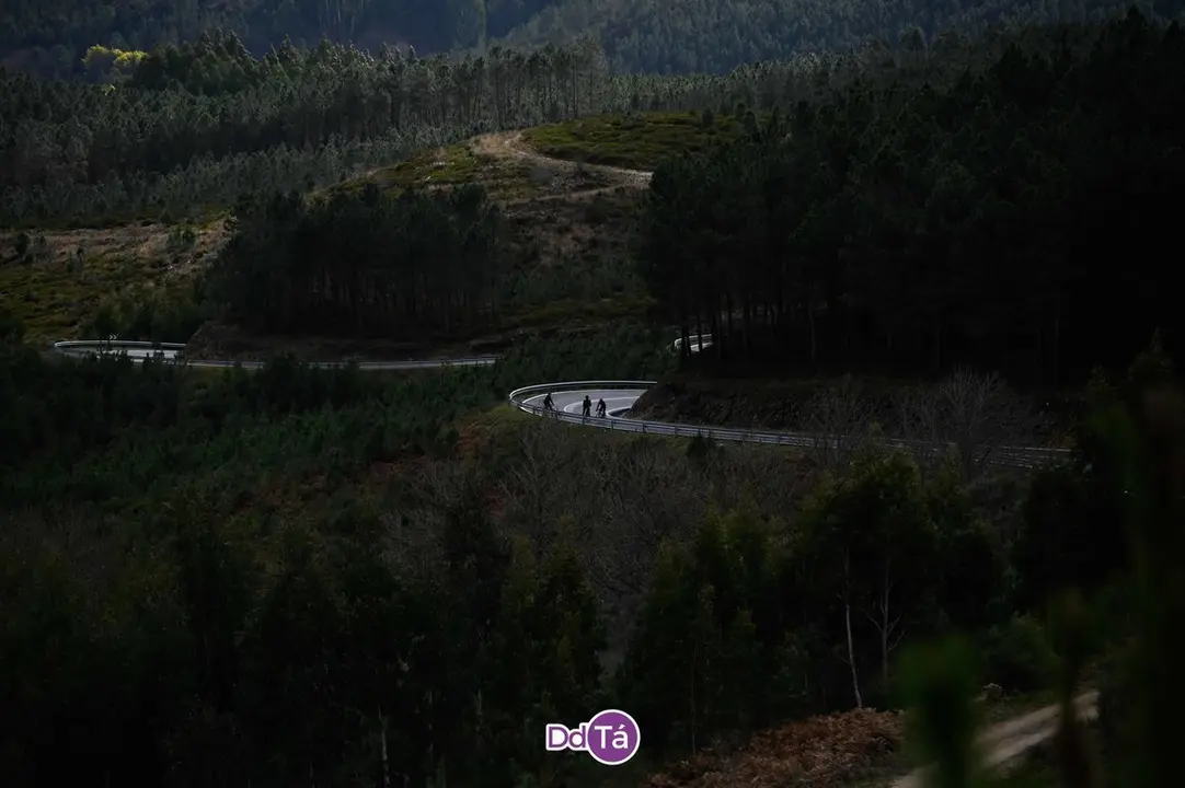 o gran cami&ntilde;o albergueria-01