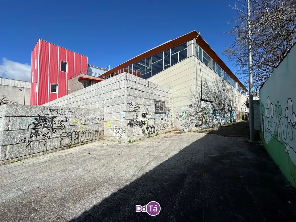 pintadas verin-006