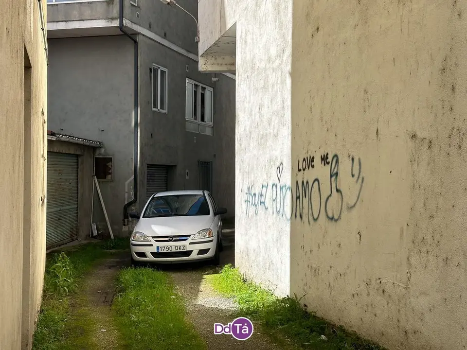 pintadas verin-013