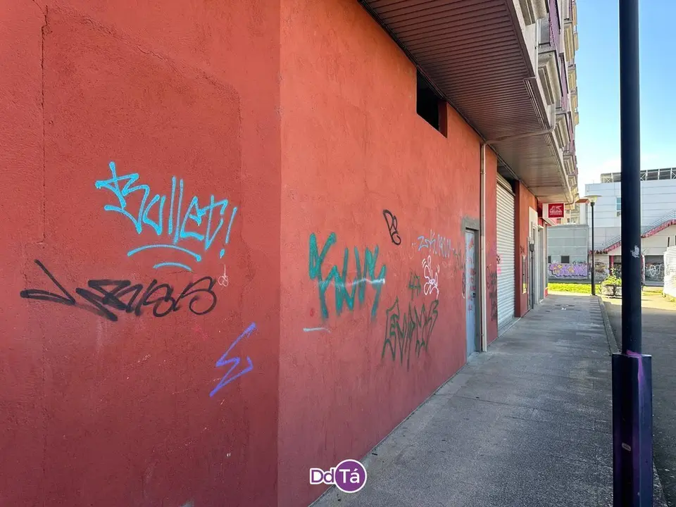 pintadas verin-031