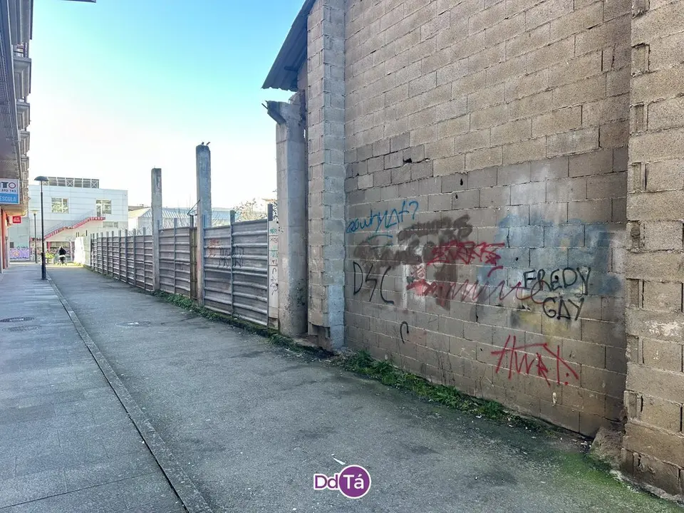 pintadas verin-033