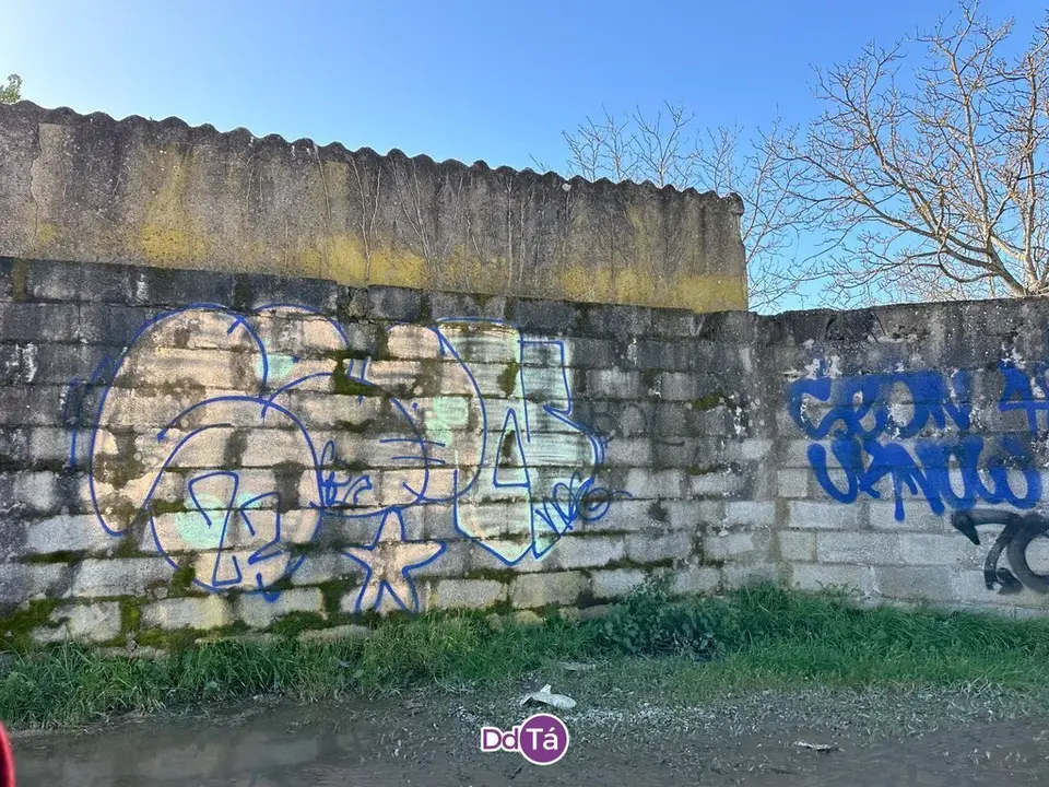 pintadas verin-043