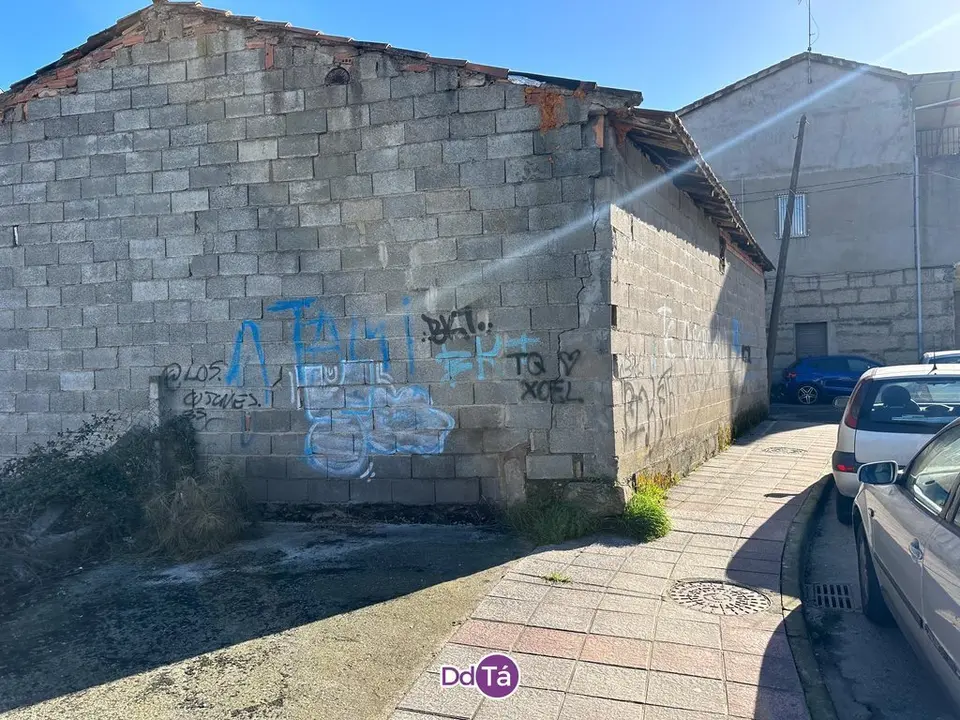 pintadas verin-092