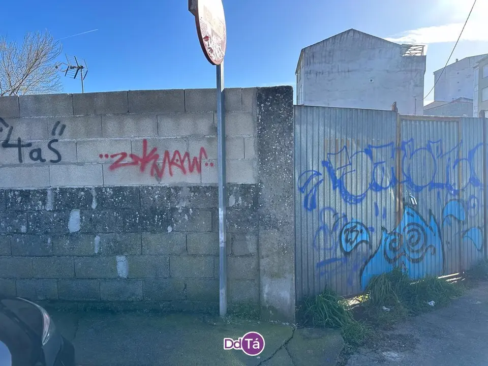 pintadas verin-100