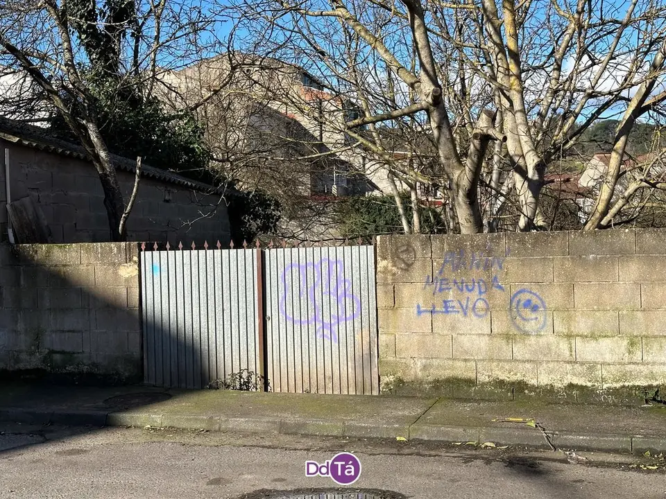pintadas verin-101