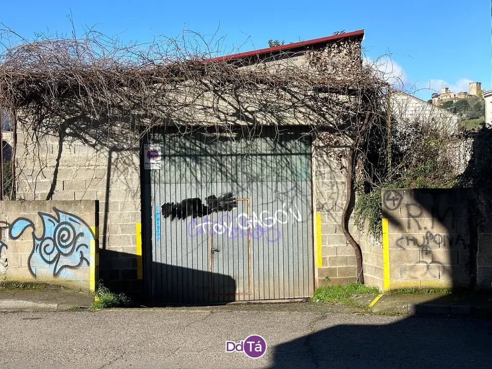 pintadas verin-102