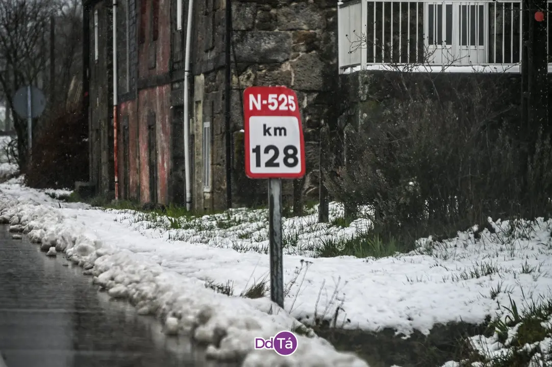 neve a gudi&ntilde;-01