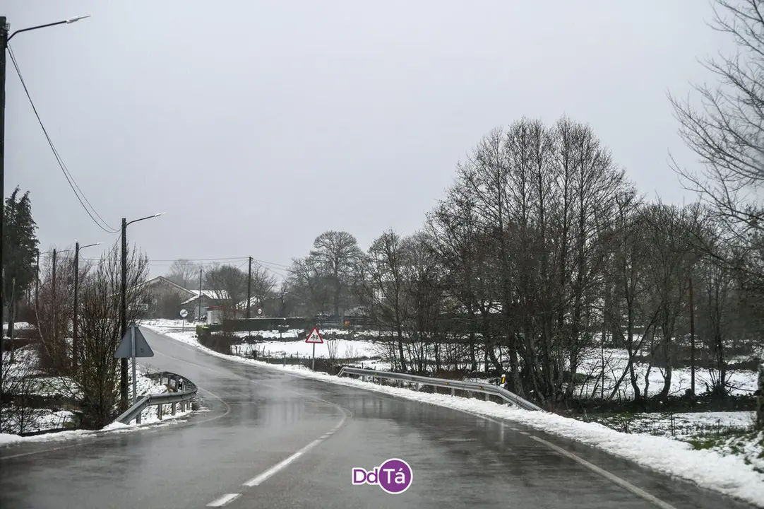 neve a gudi&ntilde;-02