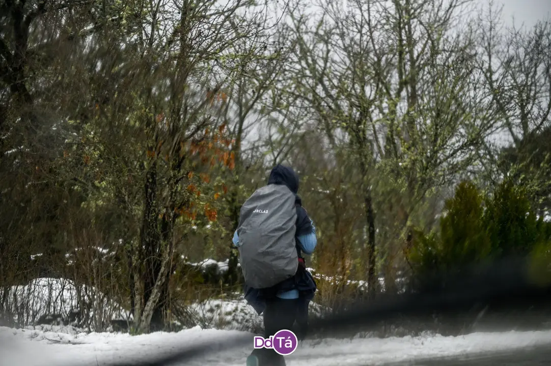 neve a gudi&ntilde;-03
