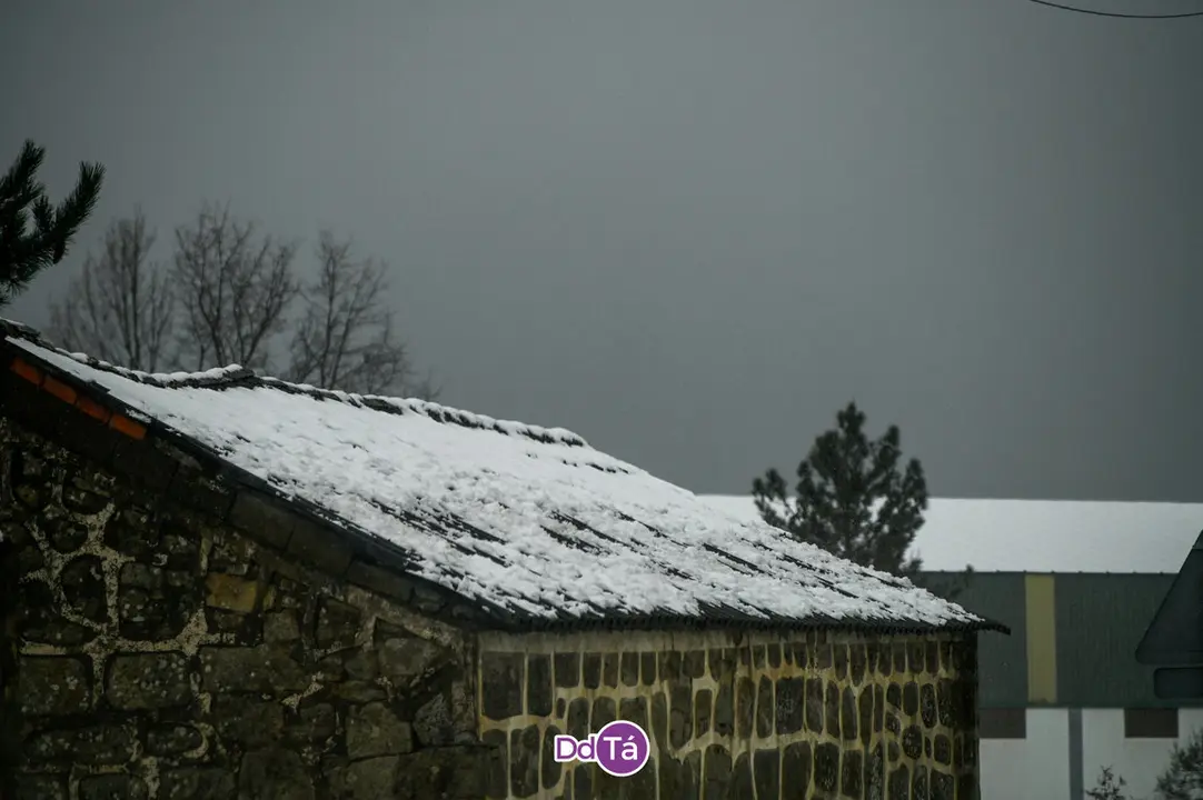 neve a gudi&ntilde;-04