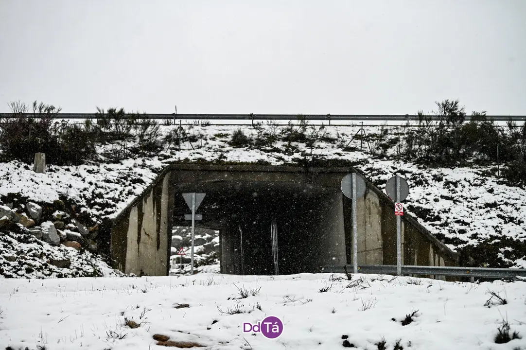 neve a gudi&ntilde;-07
