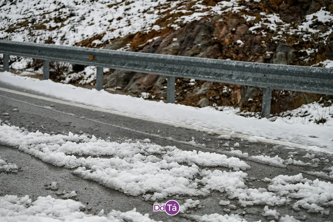 neve a gudi&ntilde;-08