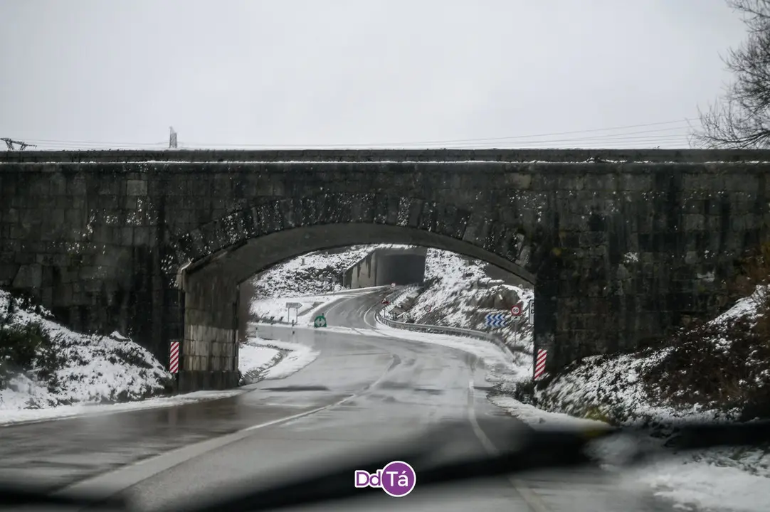 neve a gudi&ntilde;-09