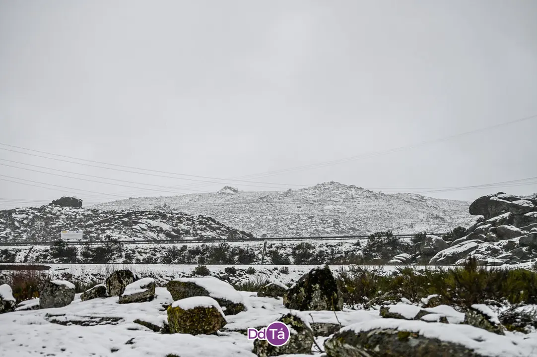 neve a gudi&ntilde;-10