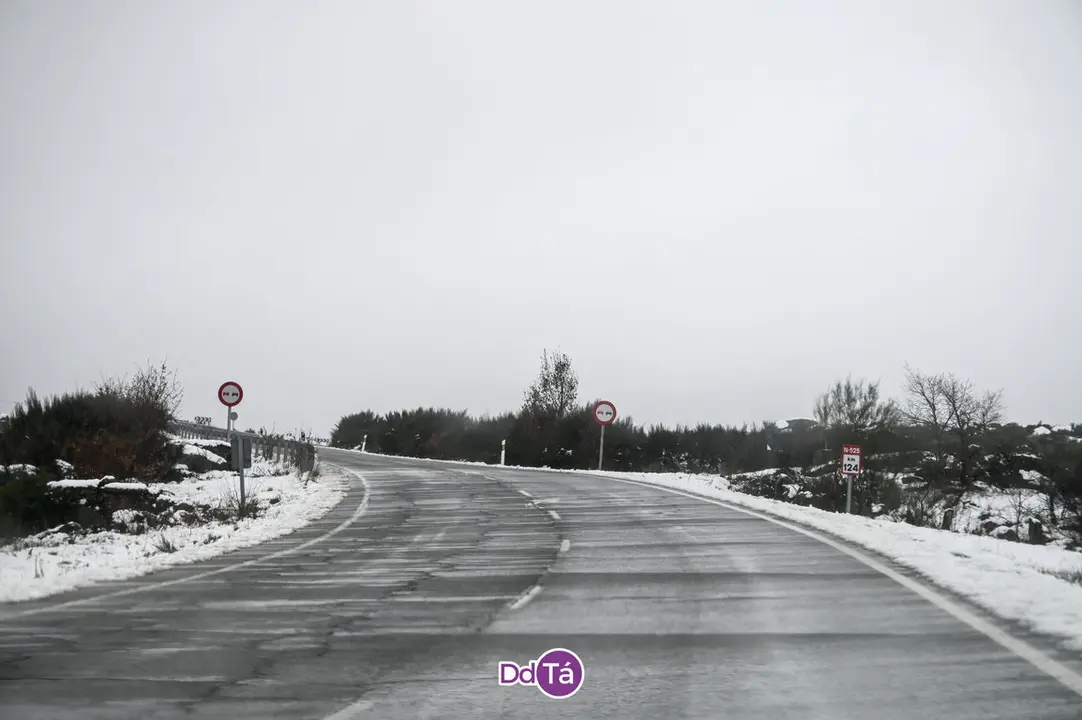 neve a gudi&ntilde;-11
