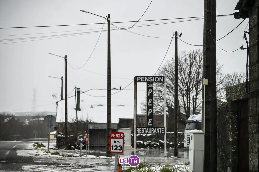 neve a gudi&ntilde;-12