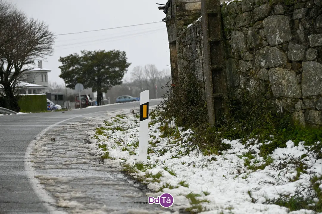 neve a gudi&ntilde;-13