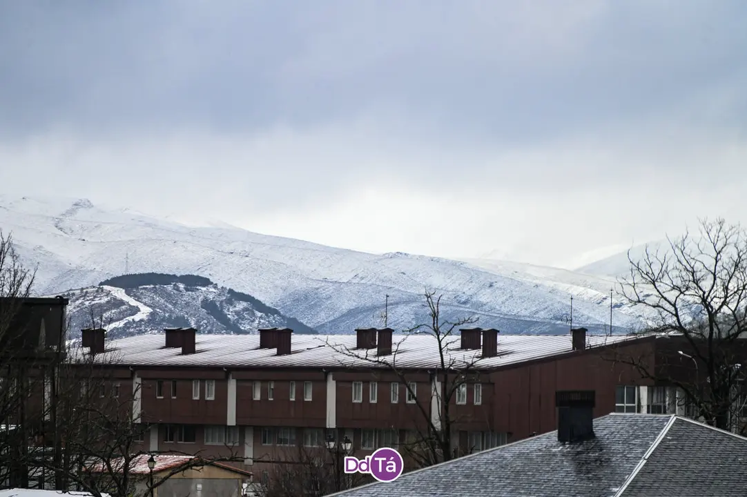 neve a gudi&ntilde;-21