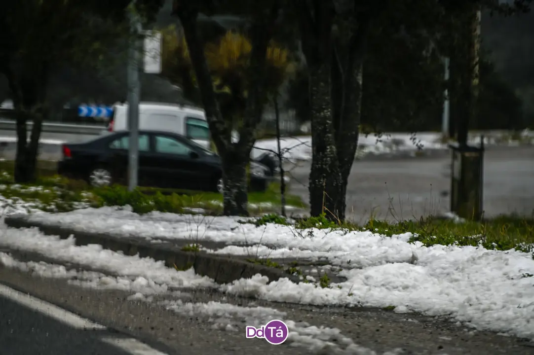 neve a gudi&ntilde;-22