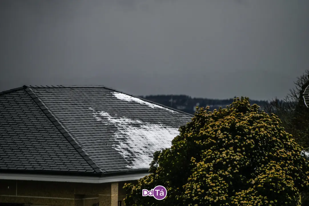 neve a gudi&ntilde;-23