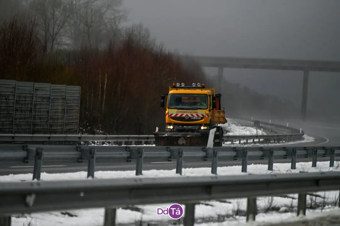 neve a gudi&ntilde;-24