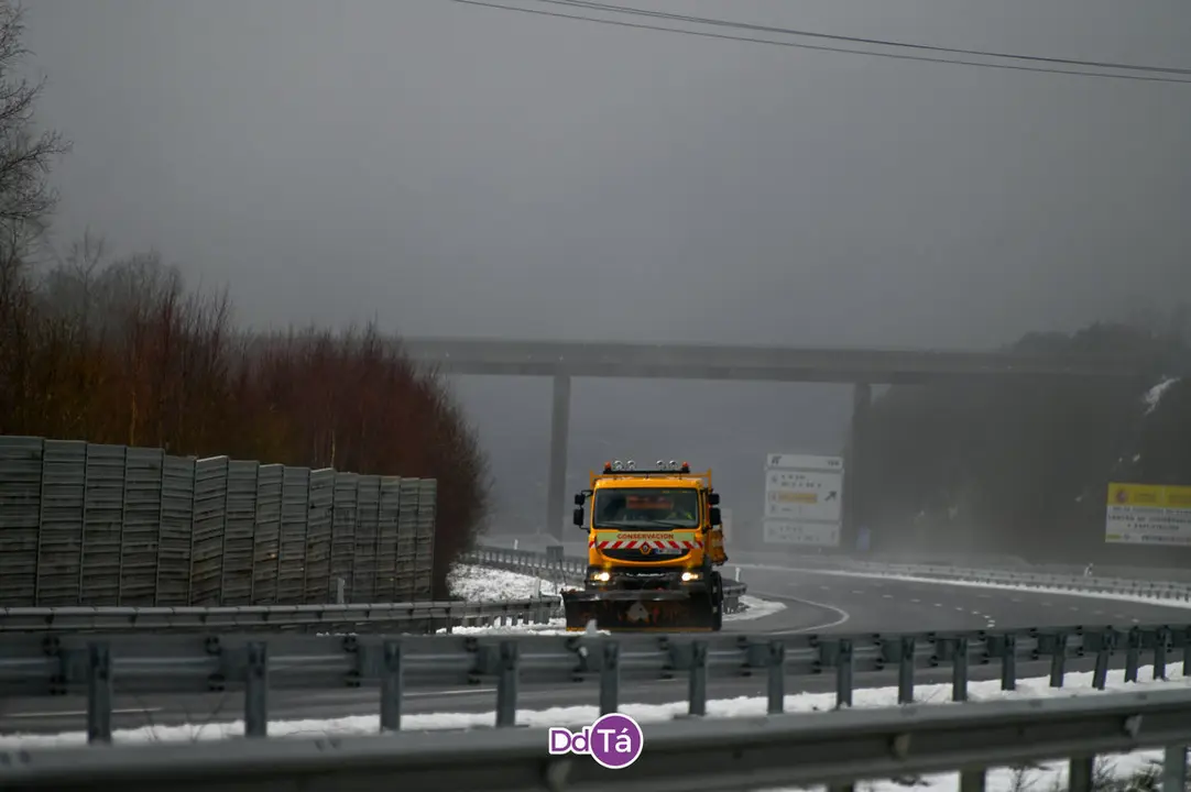 neve a gudi&ntilde;-25