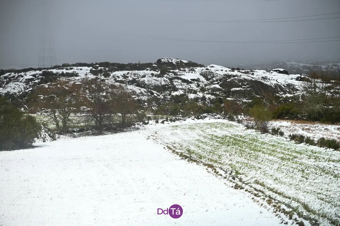 neve a gudi&ntilde;-26