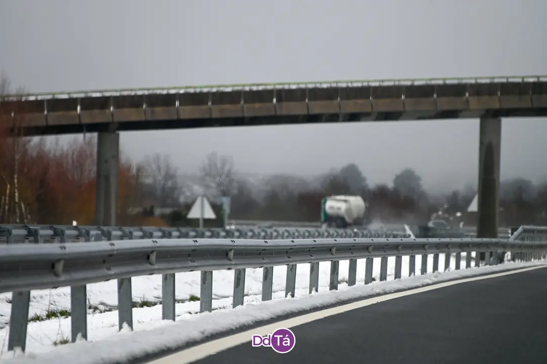 neve a gudi&ntilde;-28