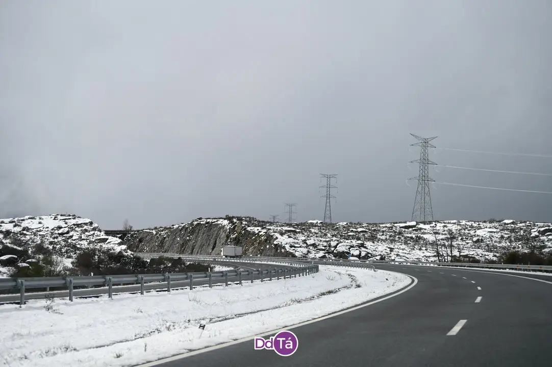 neve a gudi&ntilde;-29