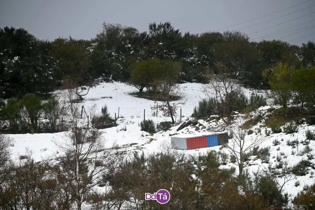 neve a gudi&ntilde;-31