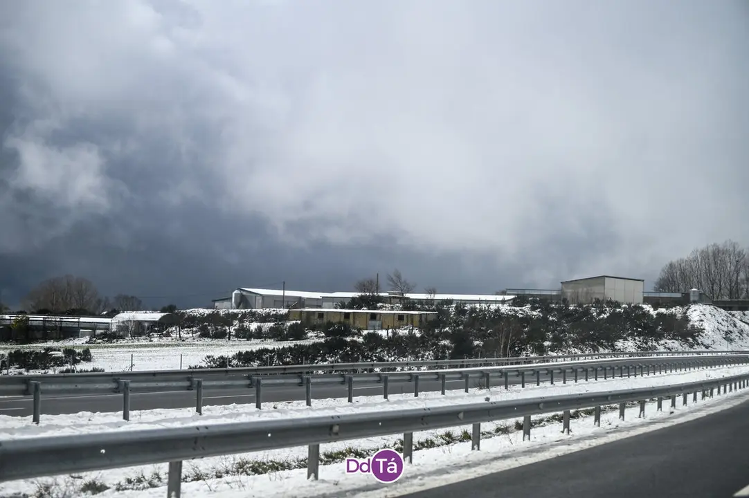 neve a gudi&ntilde;-32