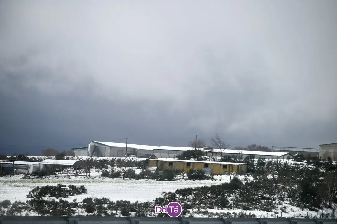 neve a gudi&ntilde;-33