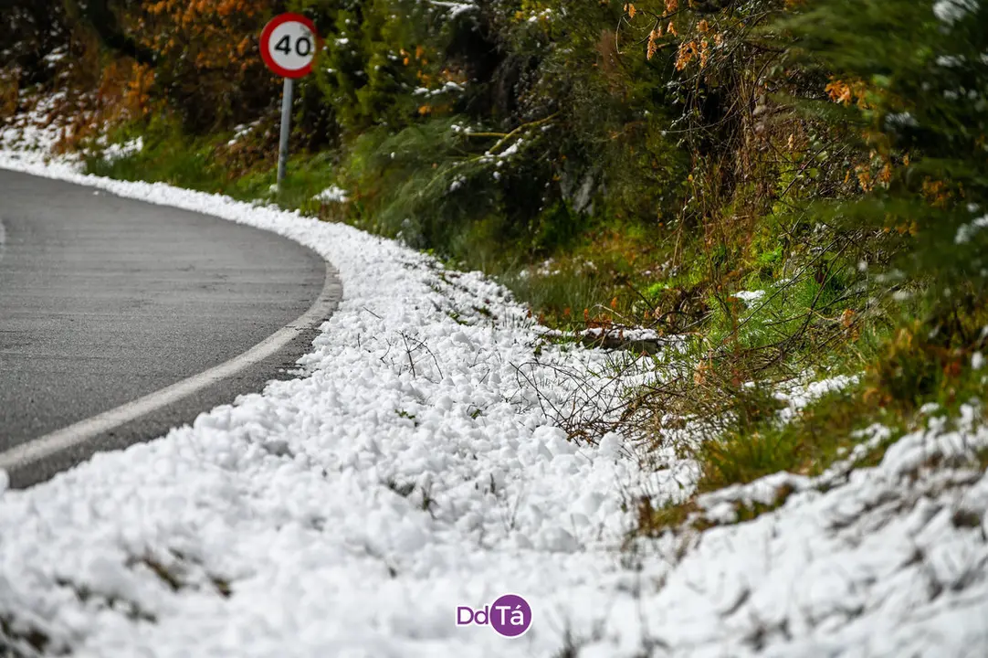 neve a gudi&ntilde;-38