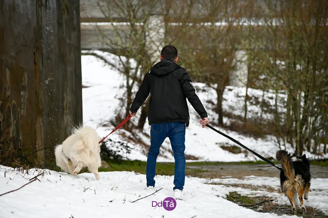 neve a gudi&ntilde;-45