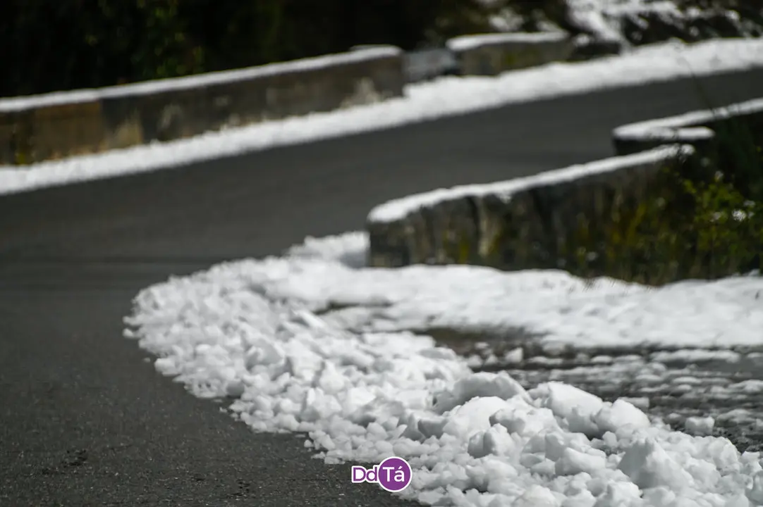 neve a gudi&ntilde;-47