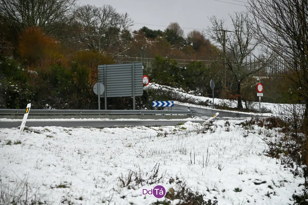 neve a gudi&ntilde;-48