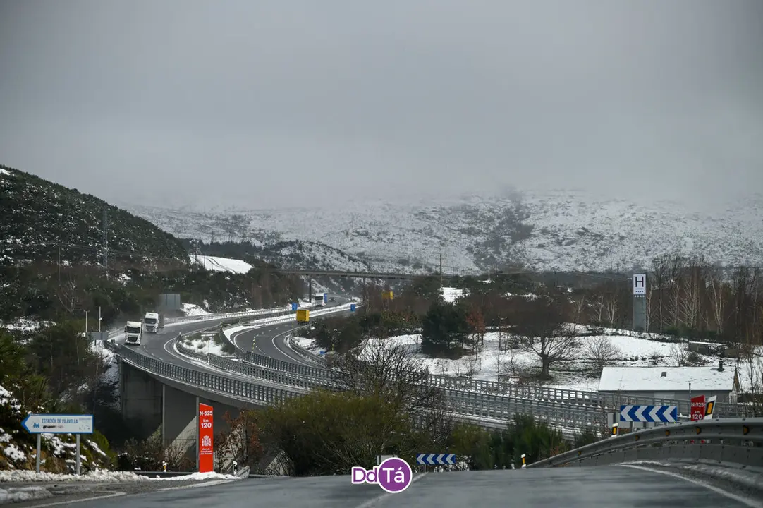 neve a gudi&ntilde;-49
