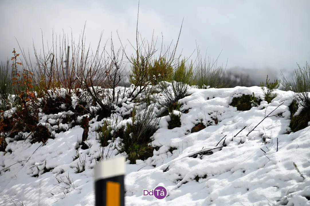 neve a gudi&ntilde;-51