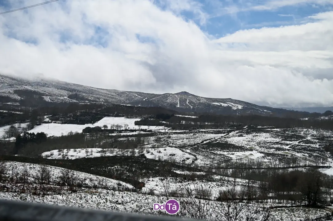 neve a gudi&ntilde;-56