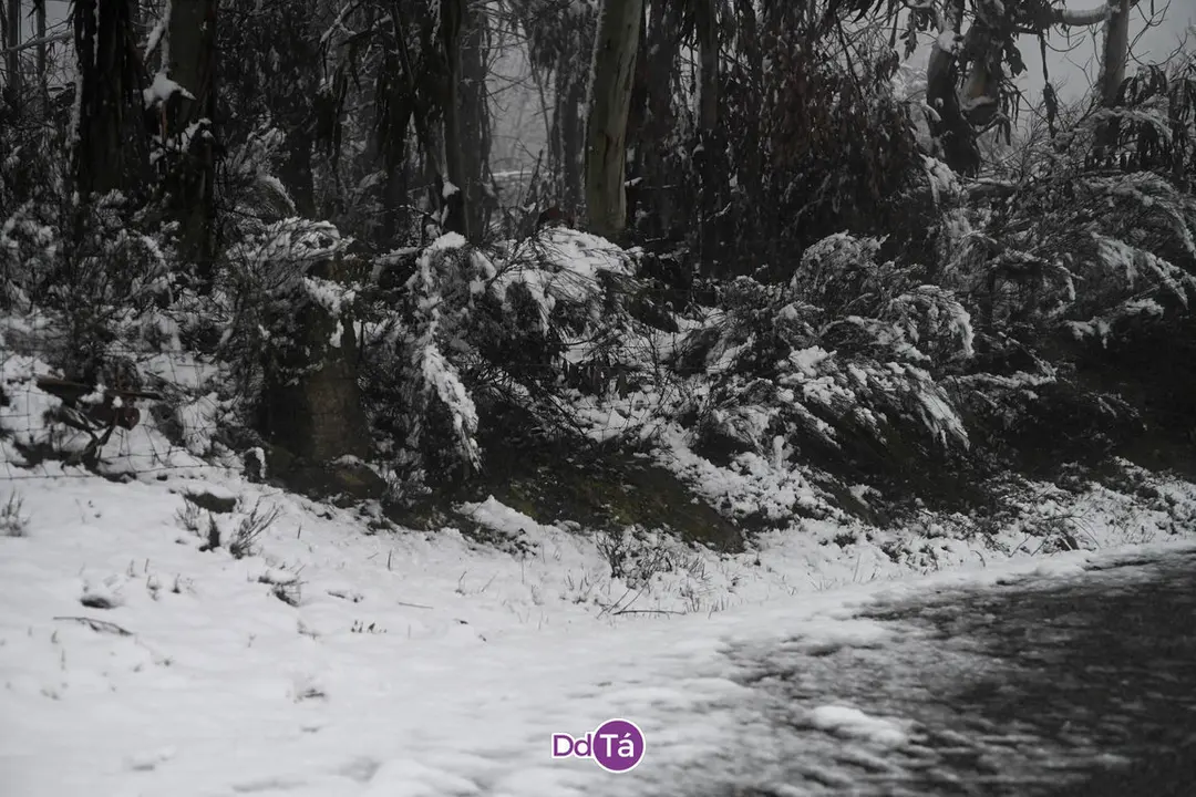 neve verin-04