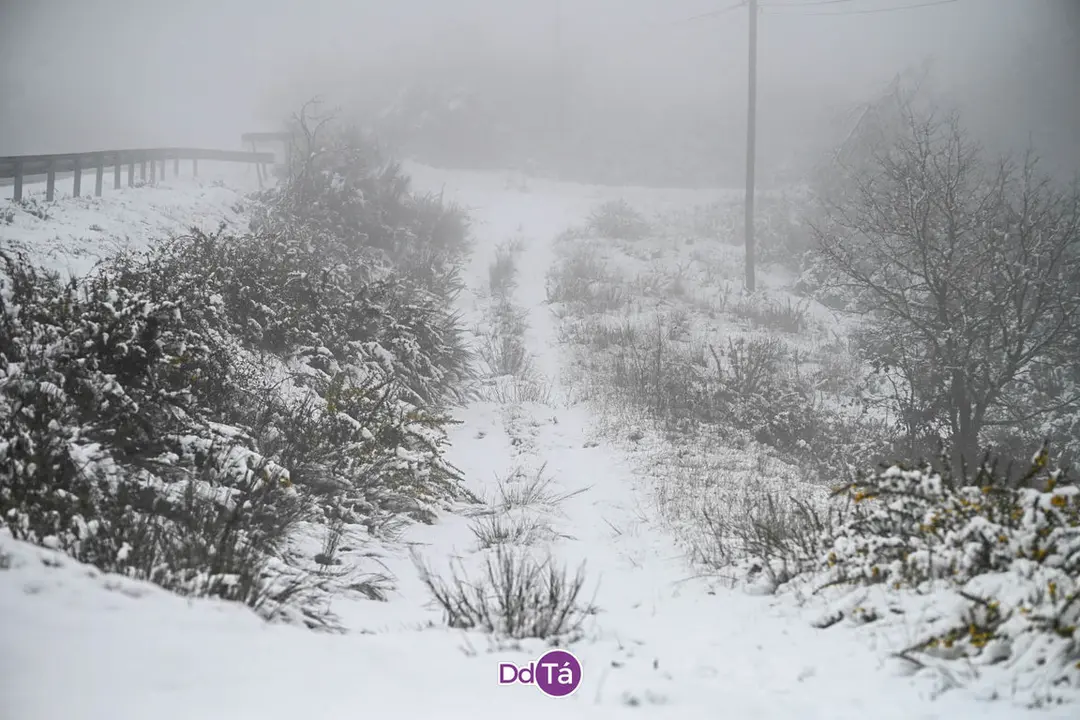neve verin-07