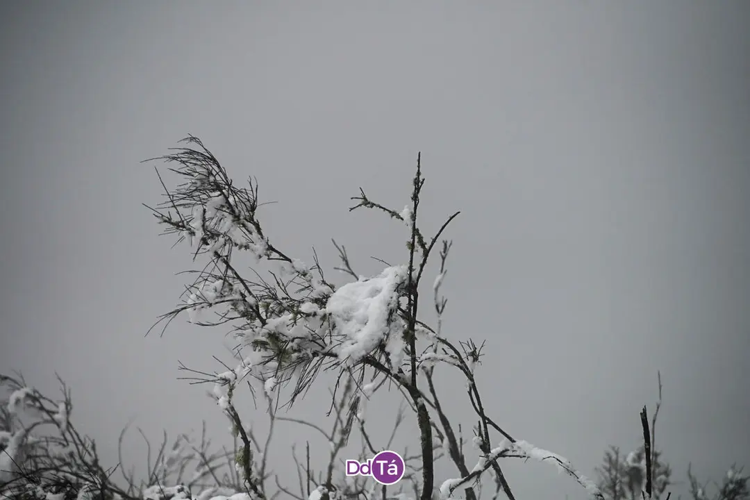 neve verin-09
