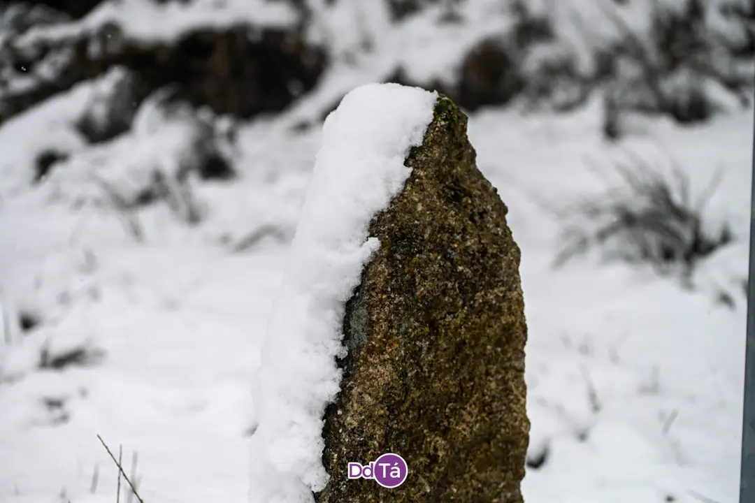 neve verin-13