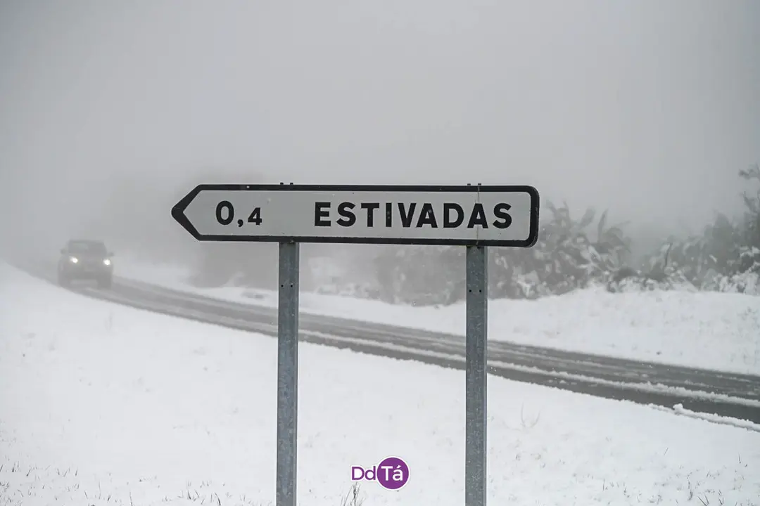 neve verin-17