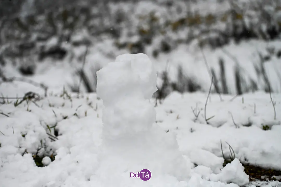 neve verin-19