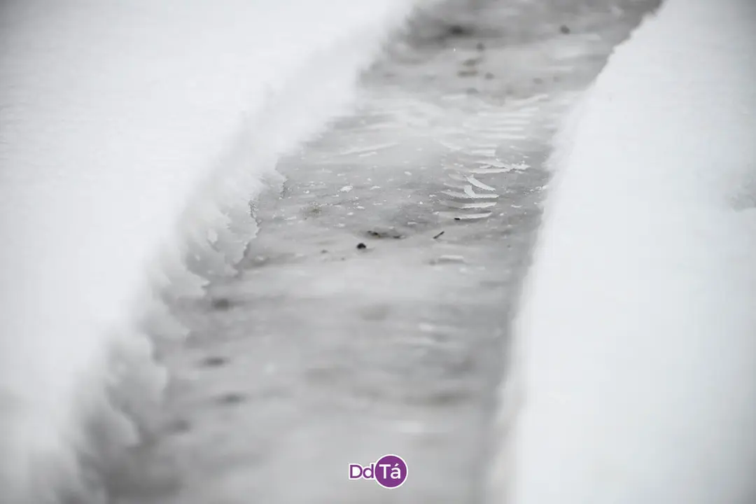 neve verin-20