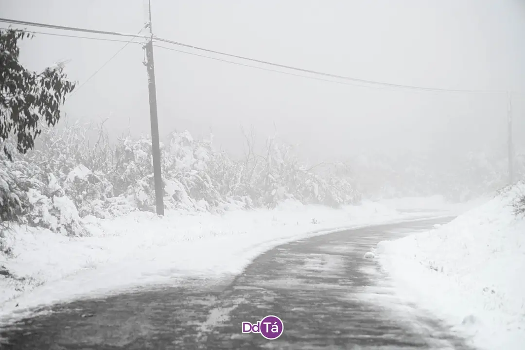 neve verin-21