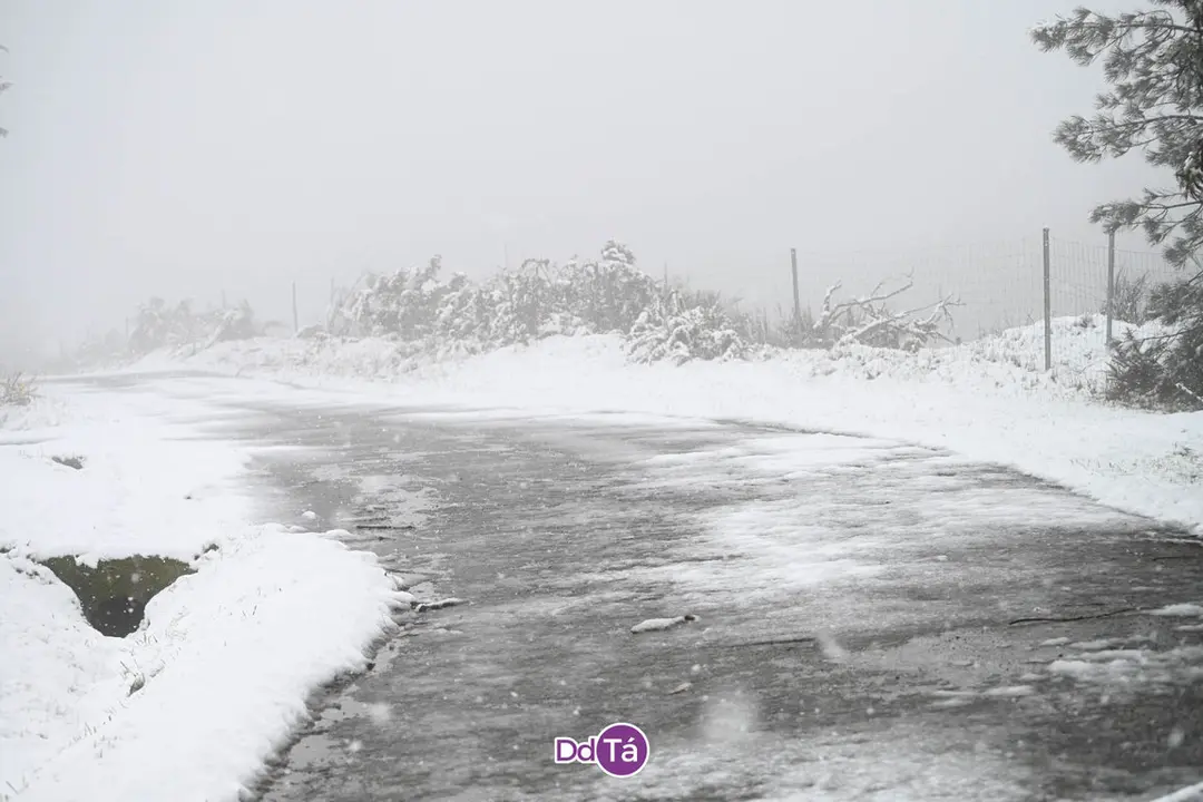 neve verin-24