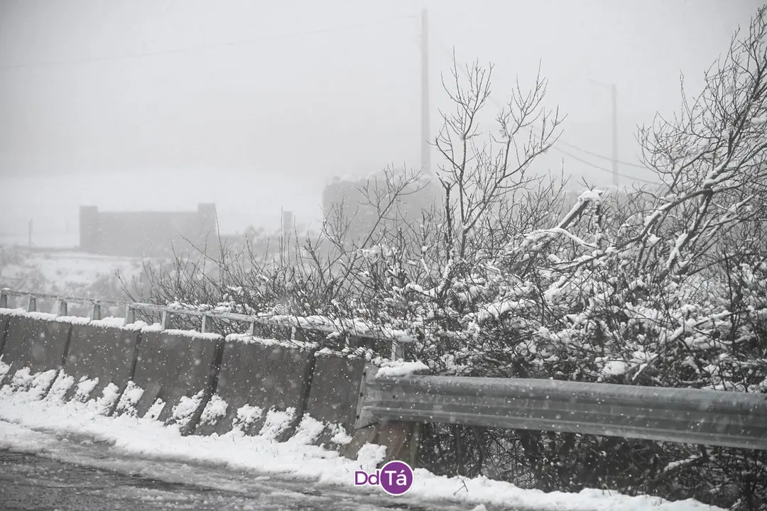 neve verin-28