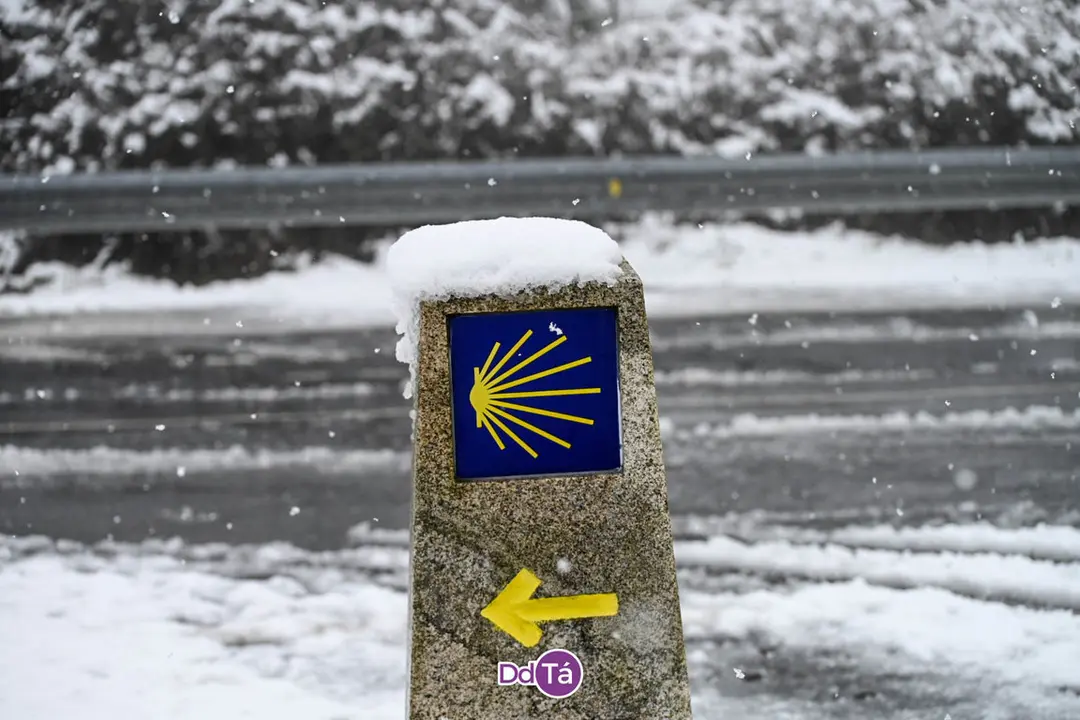 neve verin-31